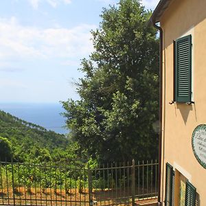 I Lecci Di Soviore